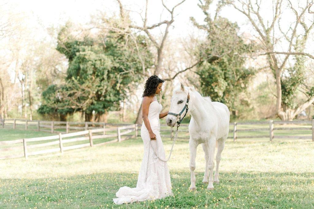 carousel-hero-element image-13