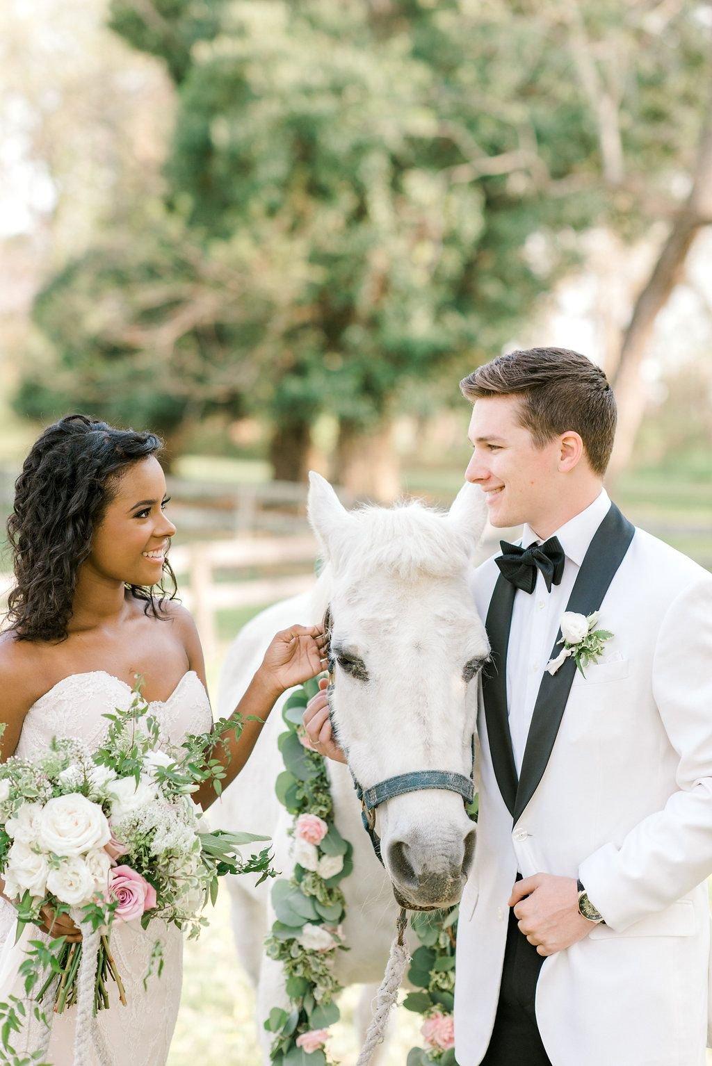 carousel-hero-element image-12