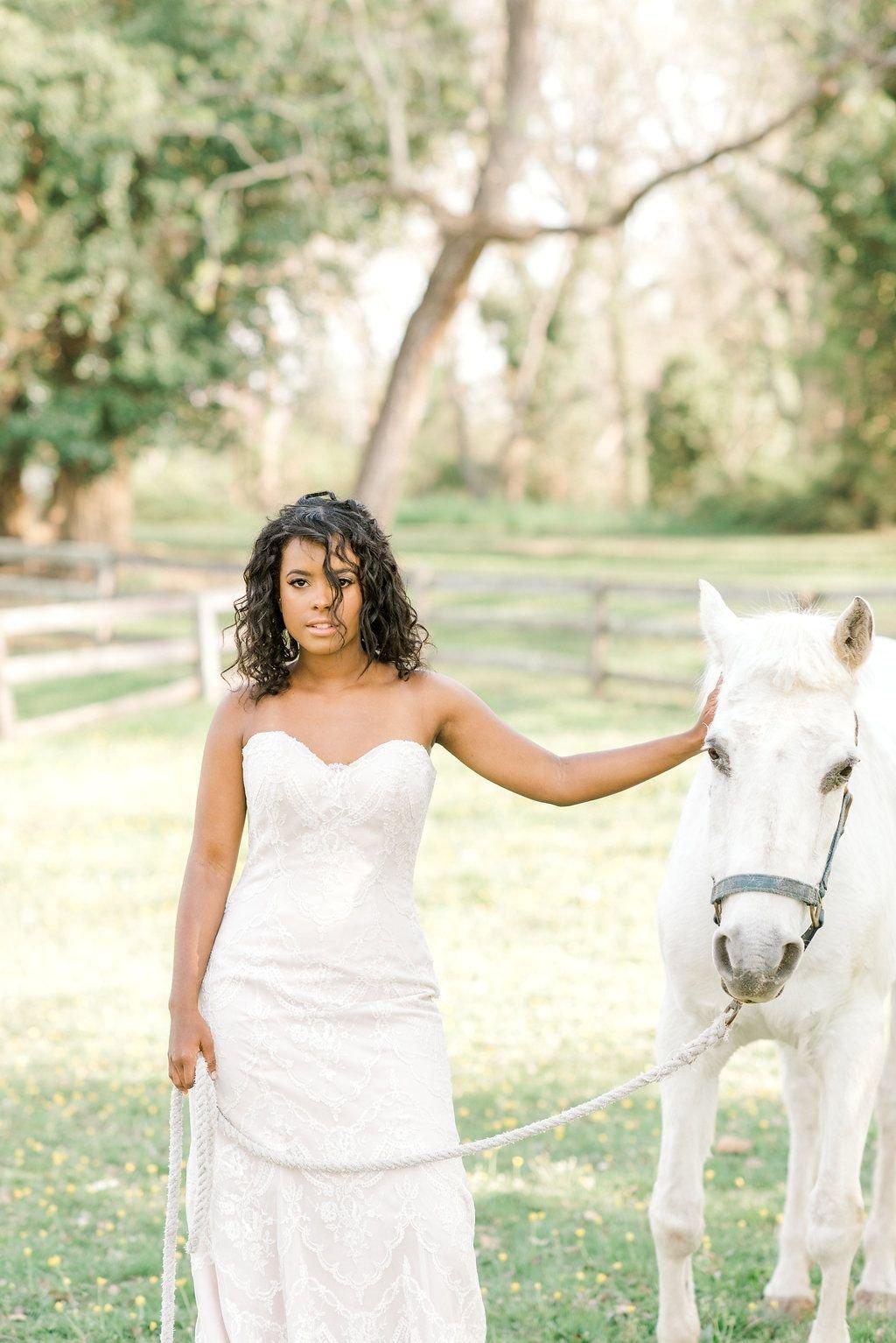 carousel-hero-element image-16