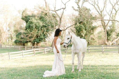 mobile - carousel-hero-element image-13